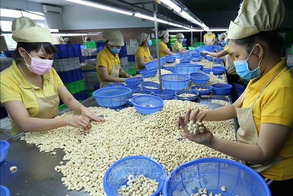 Việt Nam là nguồn cung số 1 mặt hàng này cho Trung Quốc, nhưng xuất khẩu lại đang rất buồn - Ảnh 6. Việt Nam là nguồn cung số 1 mặt hàng này cho Trung Quốc, nhưng xuất khẩu lại đang rất buồn - Ảnh 6.