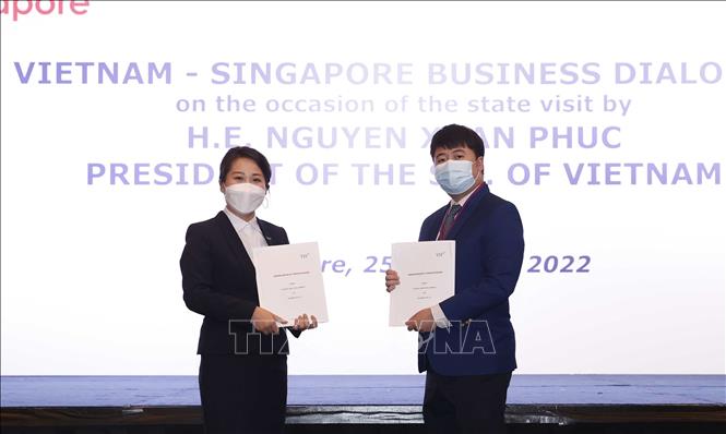 Hình ảnh Chủ tịch nước Nguyễn Xuân Phúc dự Đối thoại doanh nghiệp Việt Nam - Singapore - Ảnh 11.
