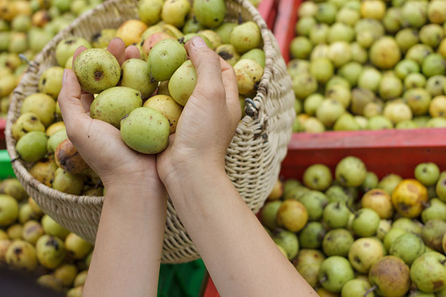 Đặc sản Sapa nhớ mua về làm quà - Ảnh 3.