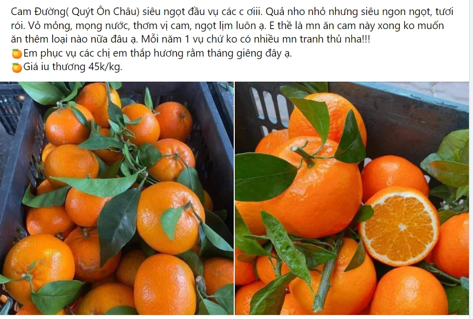 Đắt hàng mùa dịch, giá cam, quýt nhảy múa từng ngày - Ảnh 1.