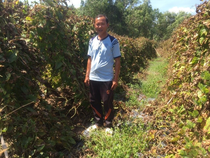 Cây ra củ dài cả mét, trước nhà nghèo lên rừng đào ăn, nay nông dân Bà Rịa-Vũng Tàu trồng lại giàu to - Ảnh 1.