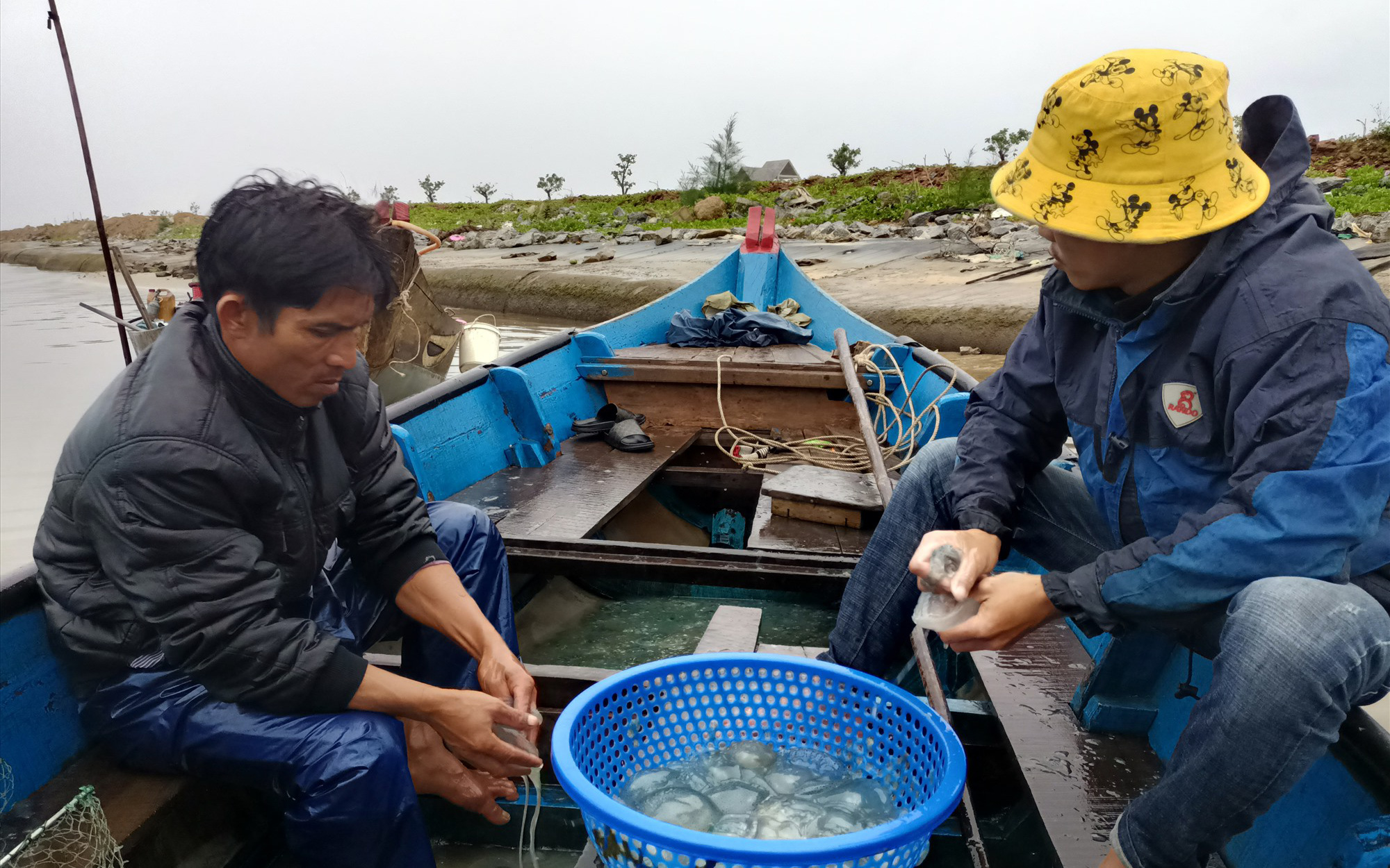 Xuống sông Trường Giang ở Quảng Nam vớt con nổi lập lờ mặt nước lên bán làm món đặc sản, kiếm tiền triệu