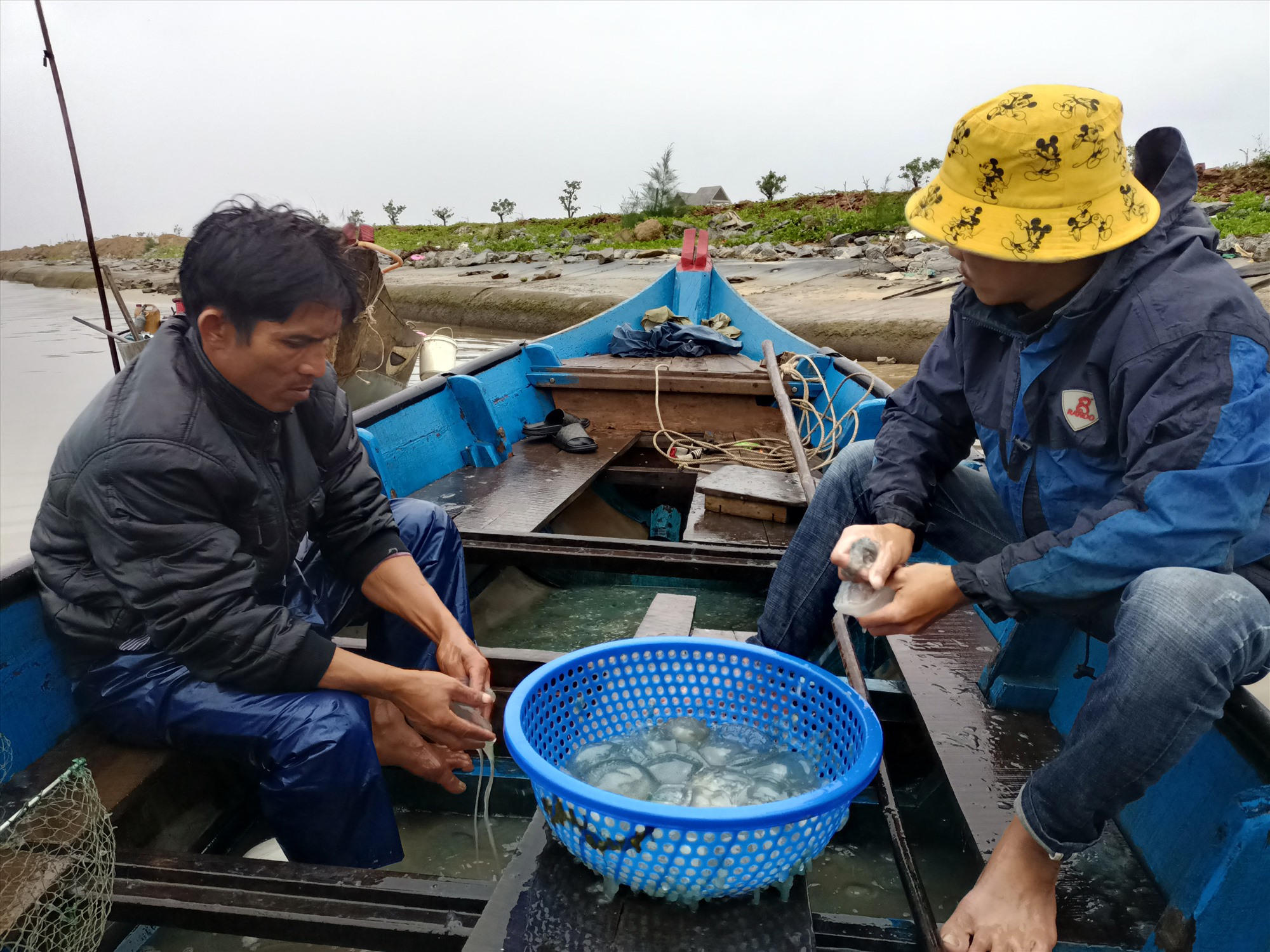 Xuống sông Trường Giang ở Quảng Nam vớt con nổi lập lờ mặt nước lên bán làm món đặc sản, kiếm tiền triệu - Ảnh 1.