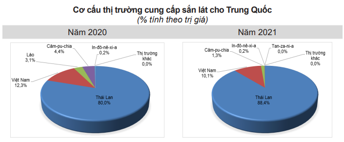 Thái Lan thông báo tăng giá sàn xuất khẩu tinh bột sắn, sắn Việt Nam vẫn 'khó cửa' vào Trung Quốc - Ảnh 3.