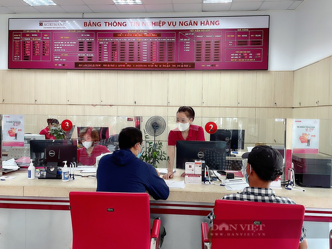 Agribank Quảng Nam vượt thách thức đạt kết quả ấn tượng - Ảnh 2.