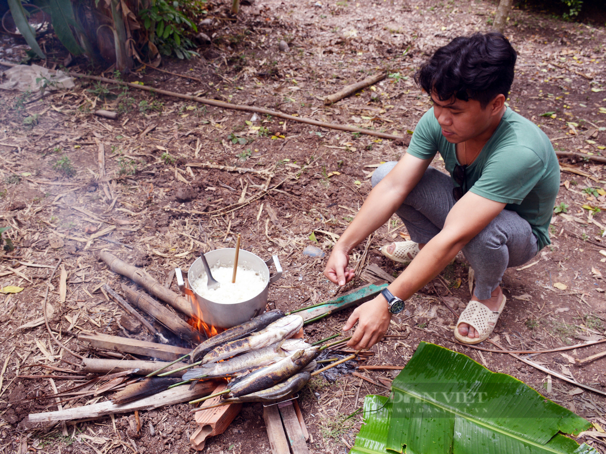 Những món ngon từ cá lóc đồng không thể bỏ qua khi đến miền Tây - Ảnh 6.