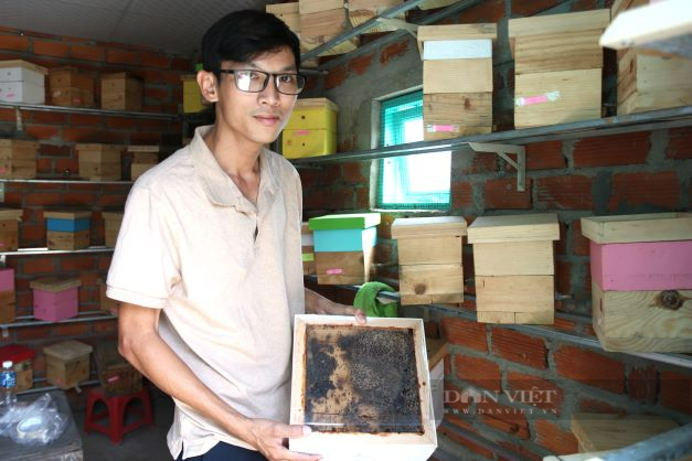 Ninh Thuận: Nam thanh niên bỏ việc ngân hàng về vườn nuôi ong, mỗi tháng thu nhập trăm triệu đồng - Ảnh 1.
