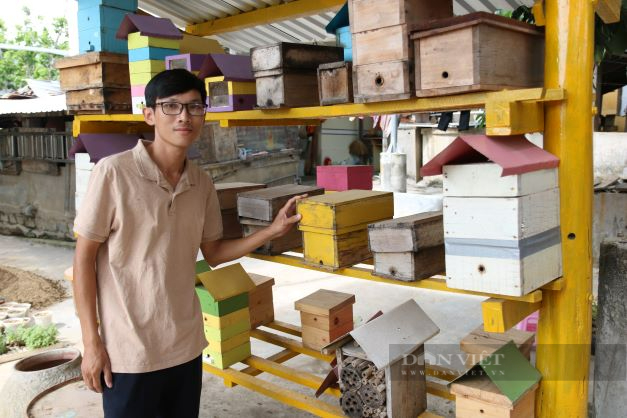 Ninh Thuận: Nam thanh niên bỏ việc ngân hàng về vườn nuôi ong, mỗi tháng thu nhập trăm triệu đồng - Ảnh 8.