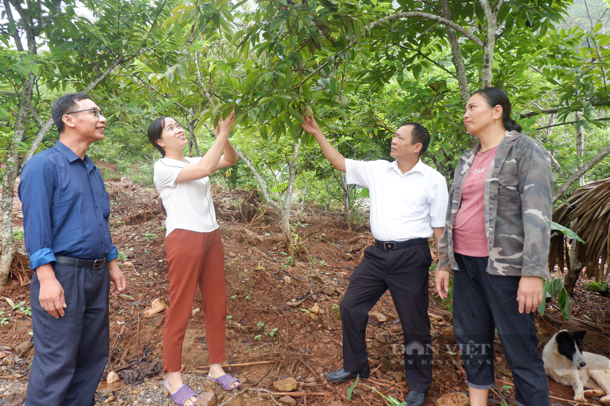 Hà Giang:  - Ảnh 1.