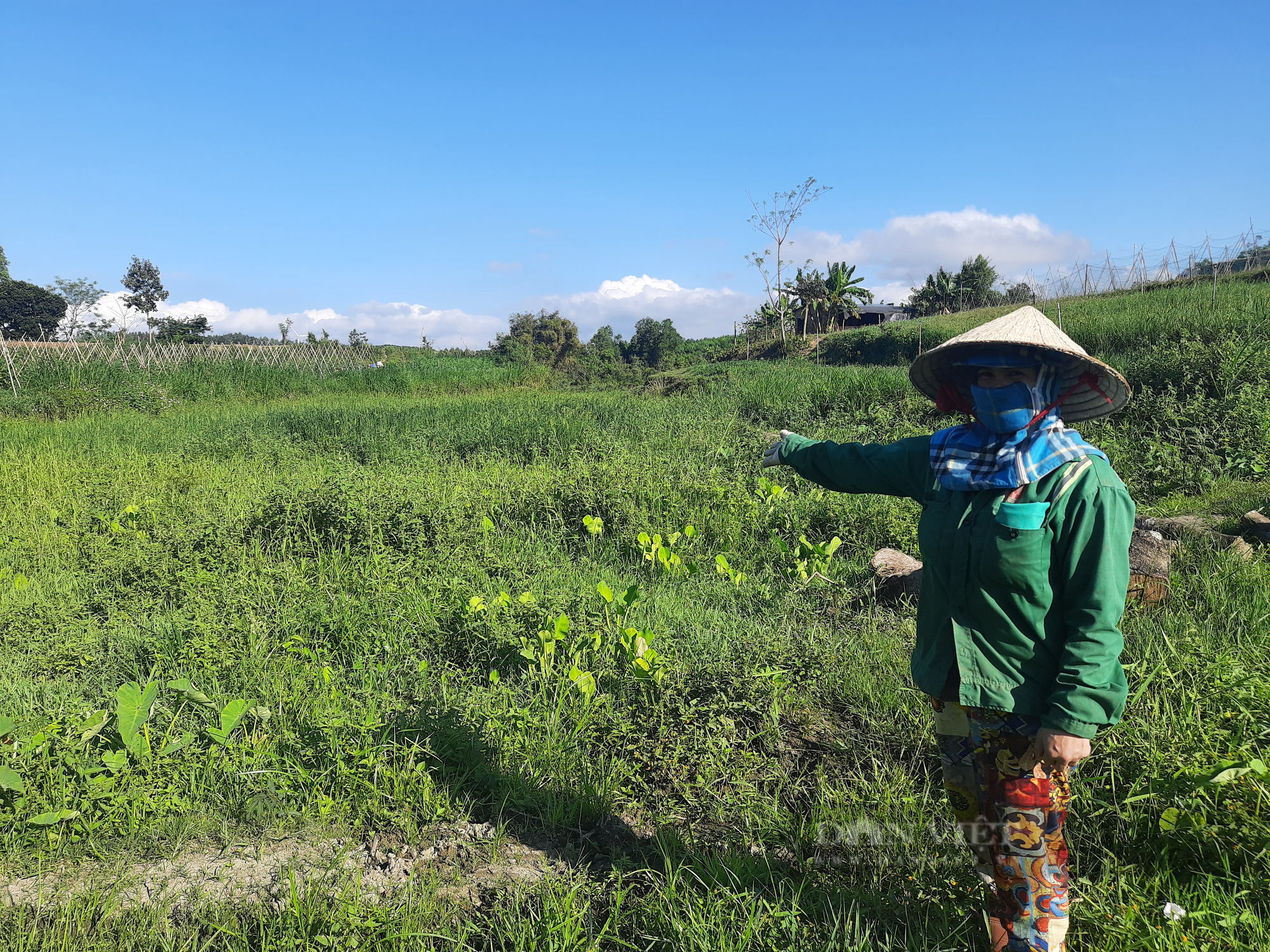 Gia Lai: Dân sống bất an bên nhà máy đường gây ô nhiễm - Ảnh 5.