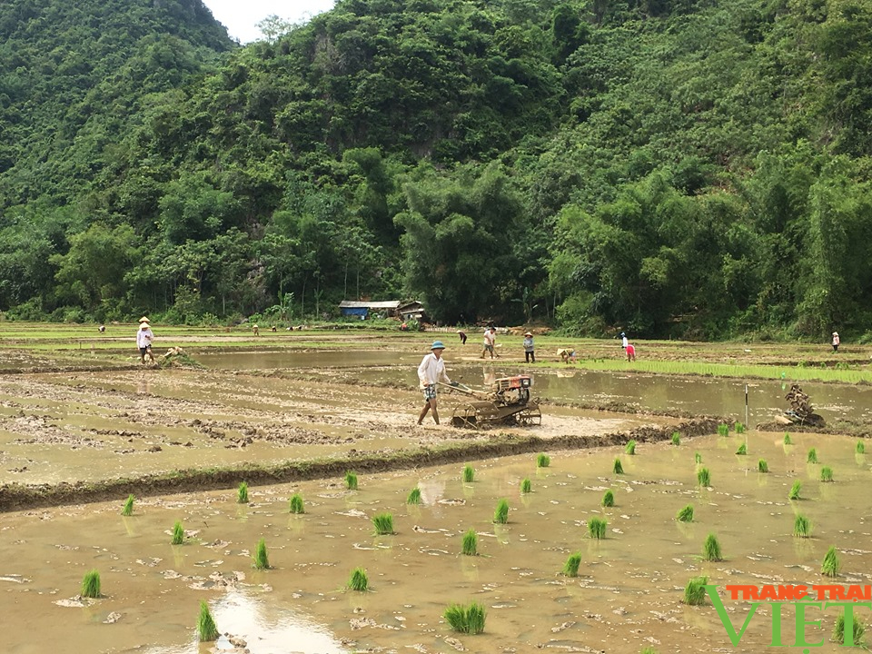 Hội Nông dân Hoà Bình: Hỗ trợ hội viên vay vốn phát triển sản xuất và làm giàu  - Ảnh 5.