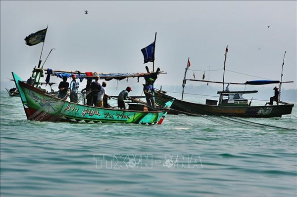 Các công ty khởi nghiệp Indonesia đổ xô đầu tư nuôi trồng thủy sản - Ảnh 1.