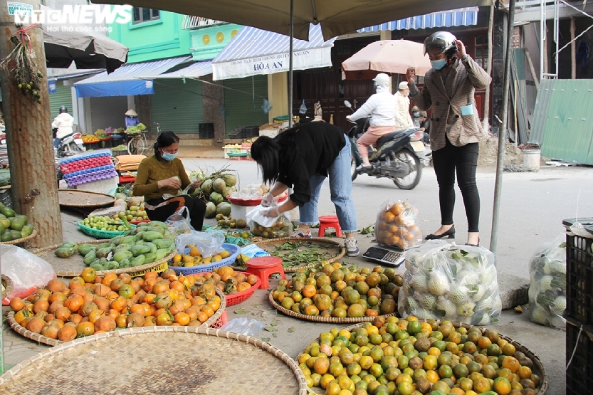 Cùng với chanh, sả, giá cam quýt tăng từng ngày theo diễn biến dịch Covid-19 - Ảnh 1.