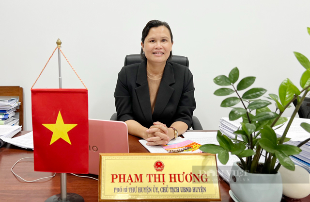 Quảng Ngãi: Huyện bỏ yêu cầu cắt bớt diện tích dự án Phân khu phức hợp Sài Gòn - Lý Sơn  - Ảnh 1.