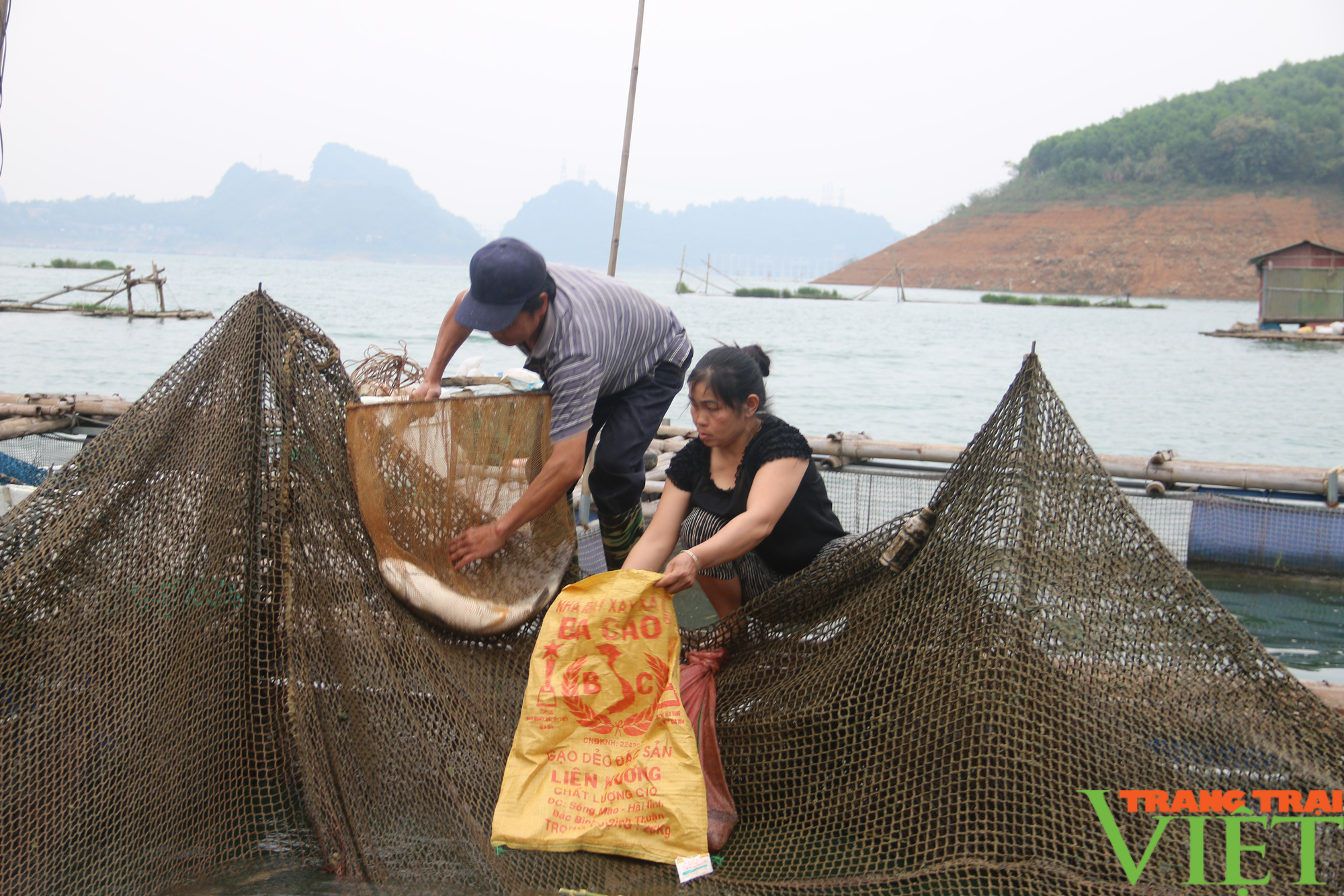 Hội Nông dân Hoà Bình: Hỗ trợ hội viên vay vốn phát triển sản xuất và làm giàu  - Ảnh 4.