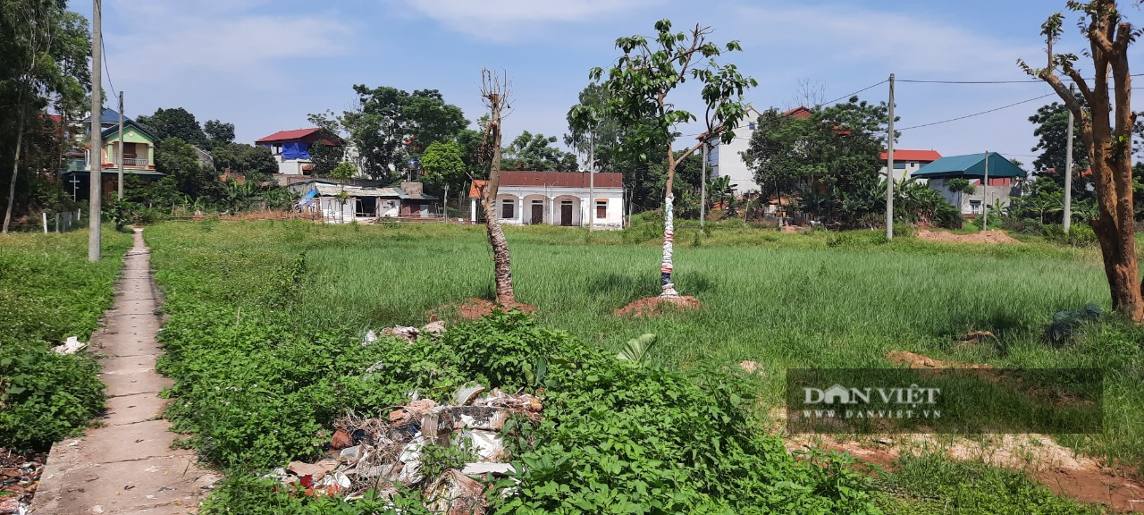 Nếu hàng xóm không ký giáp ranh, người dân căn cứ vào điều này để có thể làm sổ đỏ - Ảnh 1.