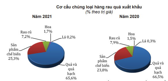 Xuất khẩu hàng rau quả tránh bị &quot;chết tắc&quot; ở thị trường Trung Quốc... - Ảnh 3.