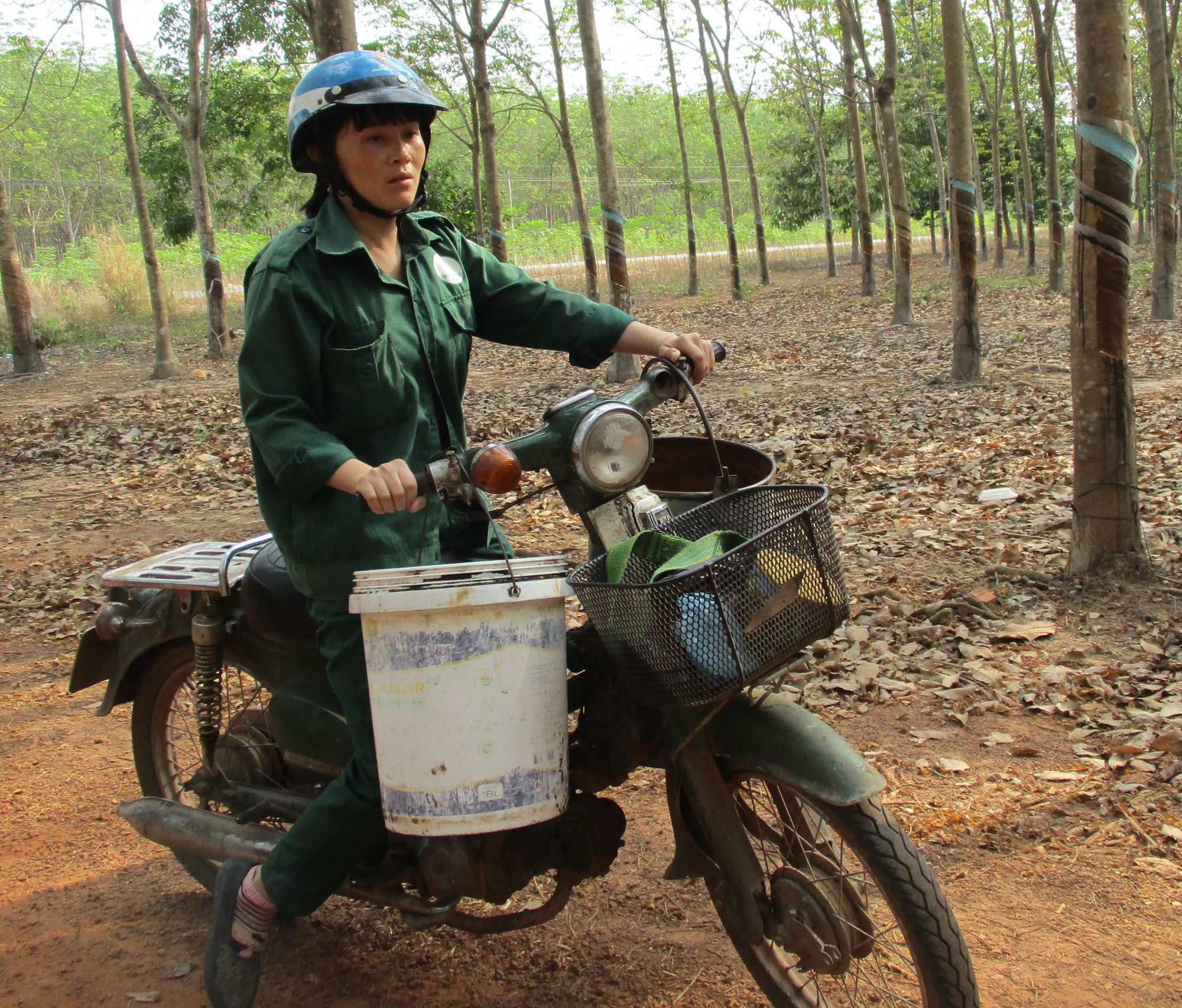 Những nông sản trúng giá giúp nhà nông thắng đậm - Ảnh 3.