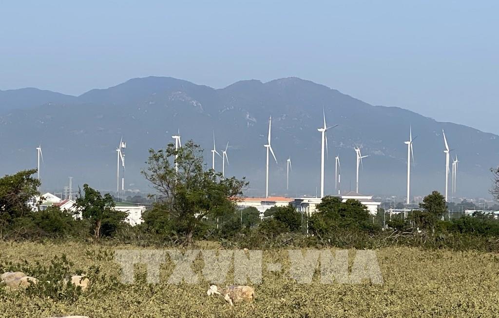 Xây dựng Ninh Thuận thành trung tâm năng lượng tái tạo - Ảnh 1.