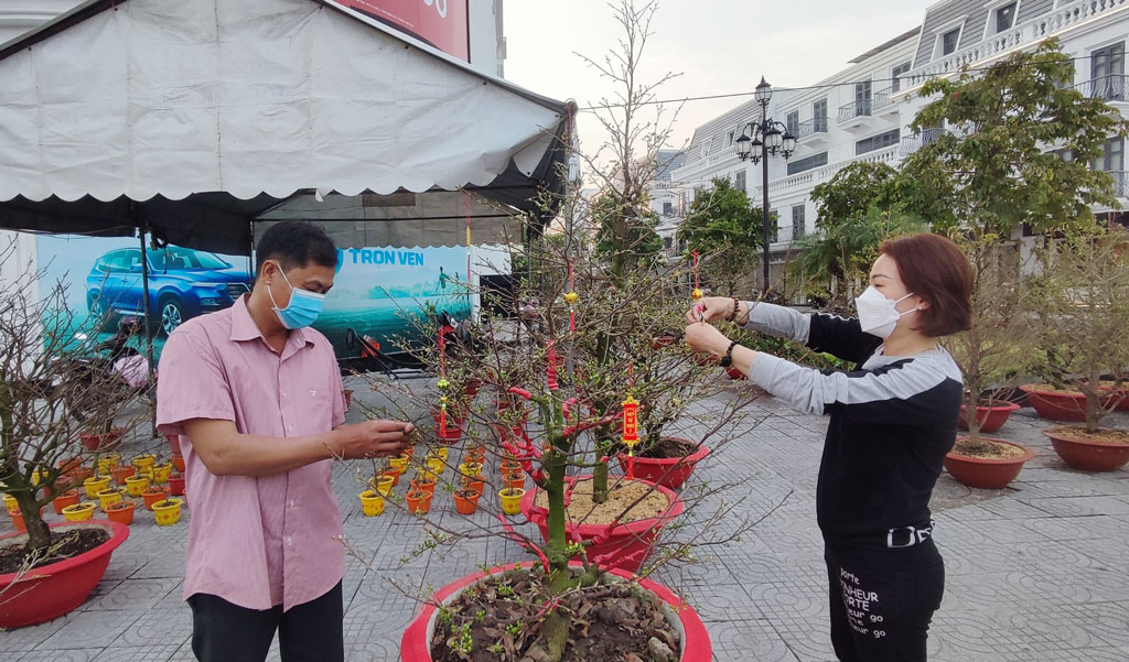 Vì sao nhiều nhà ở Long An thuê mai vàng chơi Tết chứ không mua đứt bán đoạn? - Ảnh 3.