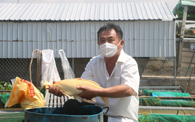 Đồng Tháp: Ông tỷ phú nông dân đam mê nuôi cá đặc sản kỳ lạ trên sông Tiền