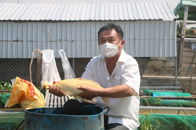 Đồng Tháp: Ông tỷ phú nông dân đam mê nuôi cá đặc sản kỳ lạ trên sông Tiền - Ảnh 1.