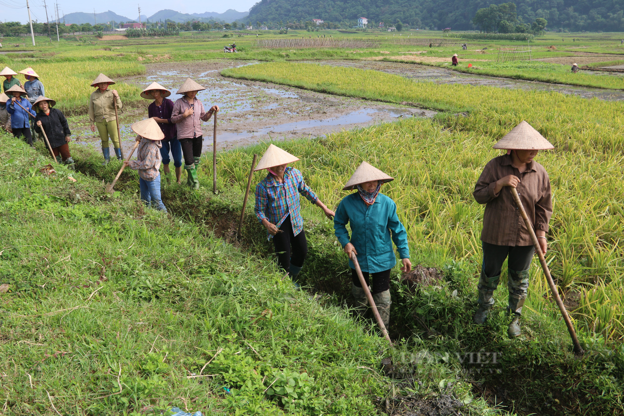 Hết Tết người nông dân lại tất bật với guồng quay lao động sản xuất - Ảnh 1.