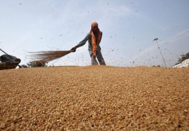 FAO: Giá lương thực toàn cầu tăng trong tháng 1 - Ảnh 1.