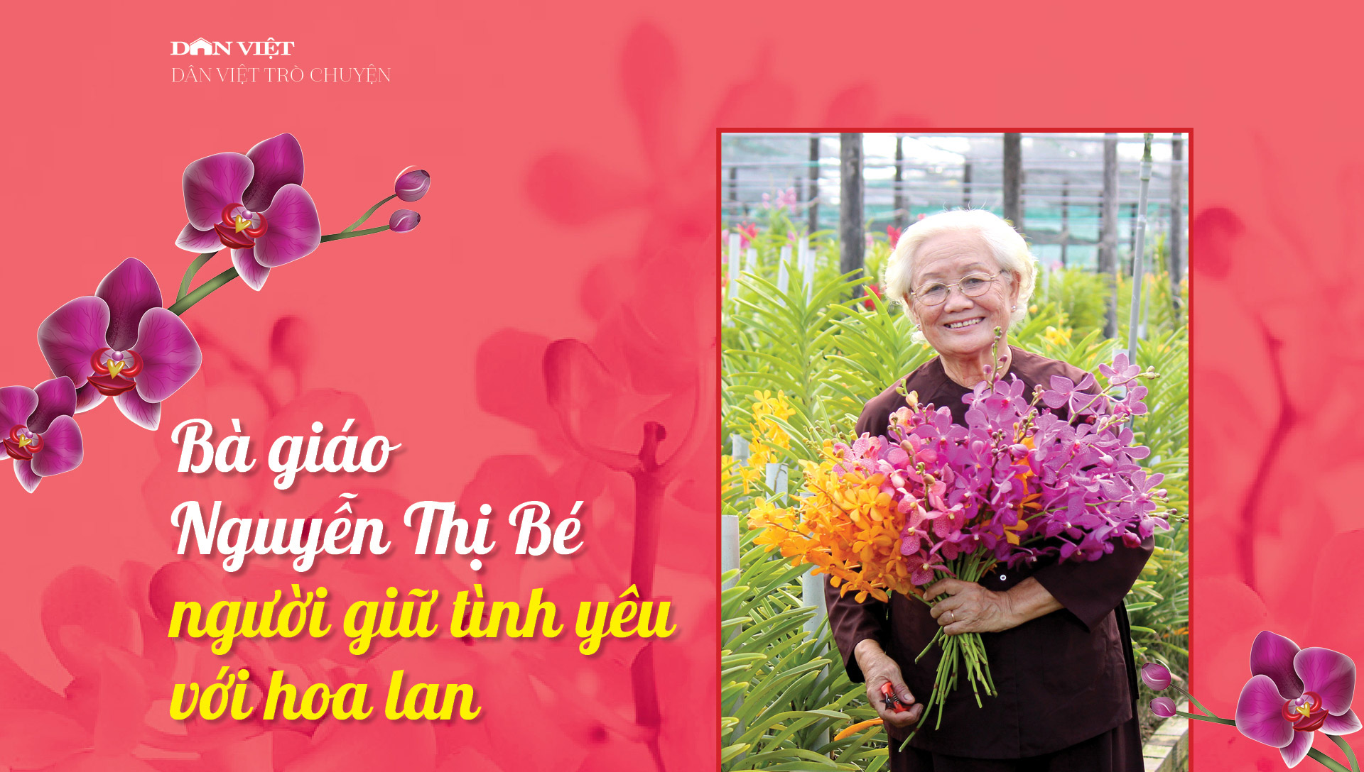 Đón xem 7h30 thứ Hai, 7/2/2022: Bà giáo Nguyễn Thị Bé - người giữ tình yêu với hoa lan  - Ảnh 1.