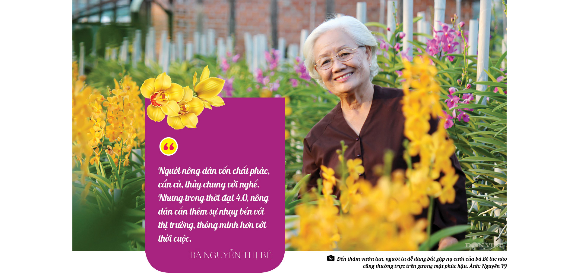 Bà giáo Nguyễn Thị Bé, người giữ tình yêu với hoa lan  - Ảnh 8.