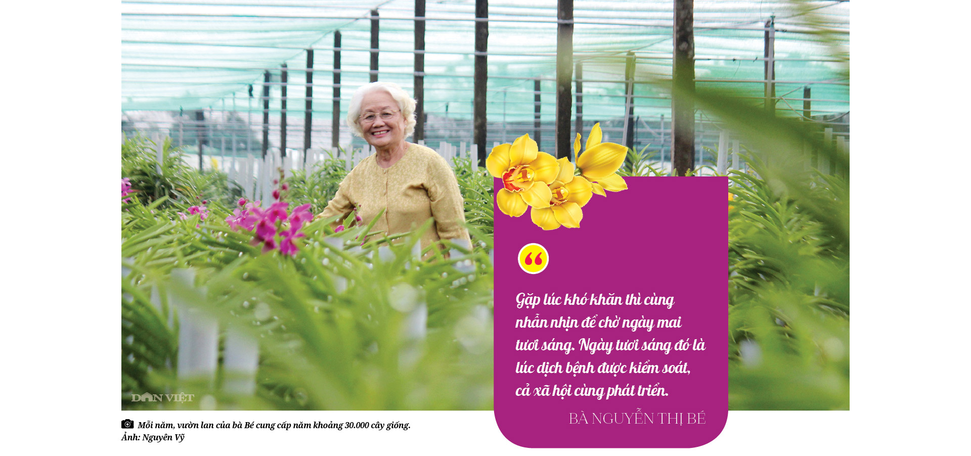 Bà giáo Nguyễn Thị Bé, người giữ tình yêu với hoa lan  - Ảnh 9.