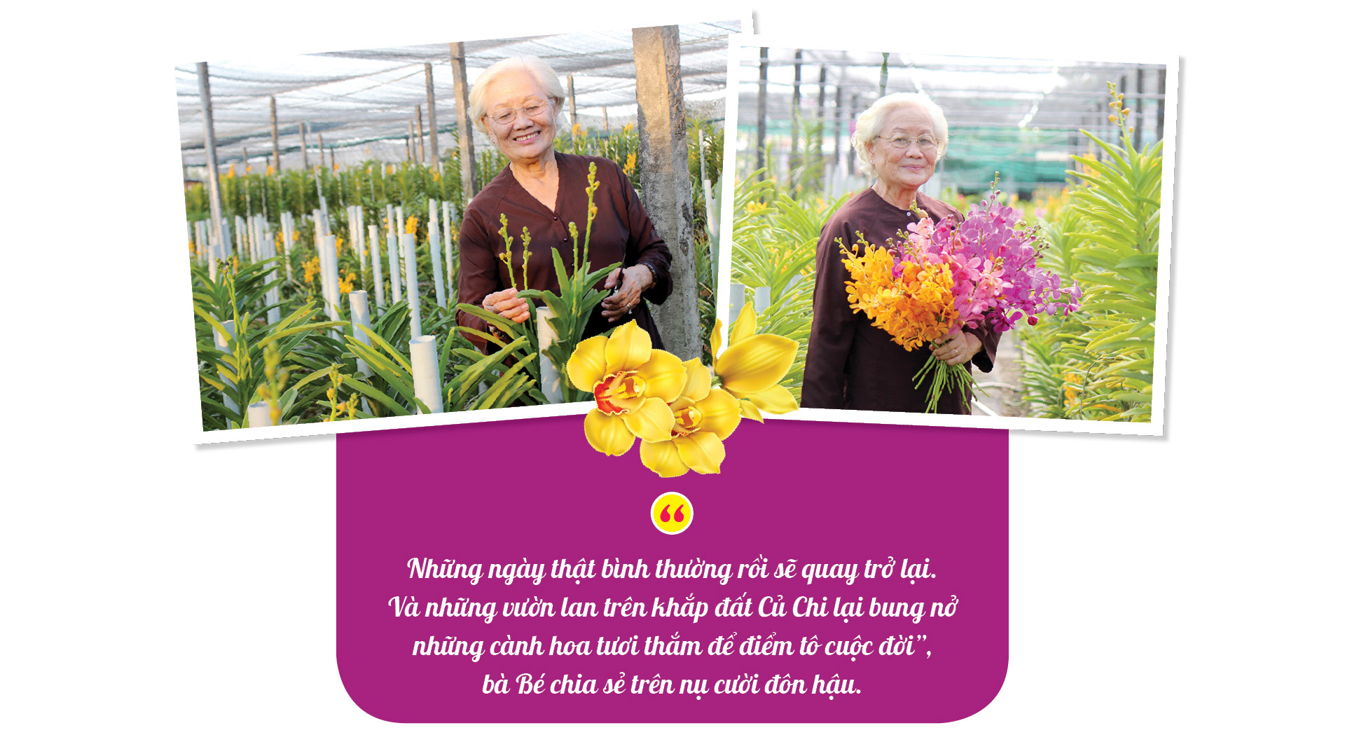 Bà giáo Nguyễn Thị Bé, người giữ tình yêu với hoa lan  - Ảnh 10.