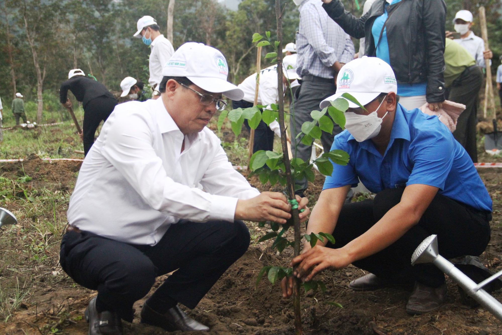 Xuân Nhâm Dần 2022: Khánh Hòa phát động &quot;Tết trồng cây&quot; - Ảnh 1.