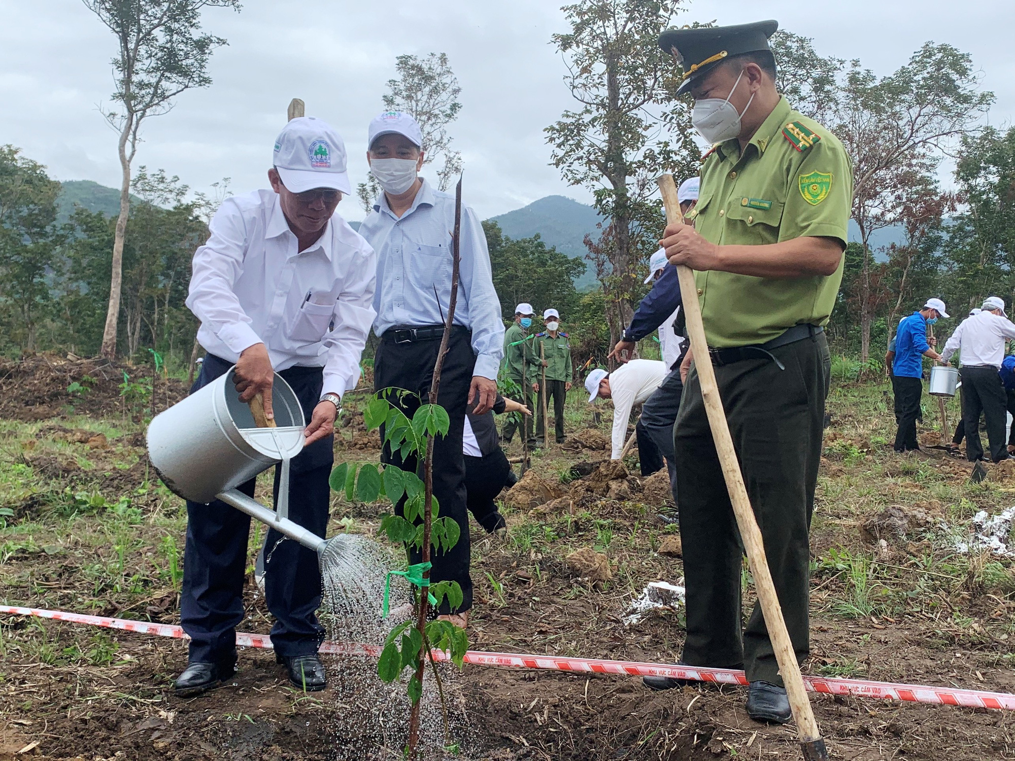 Xuân Nhâm Dần 2022: Khánh Hòa phát động &quot;Tết trồng cây&quot; - Ảnh 2.