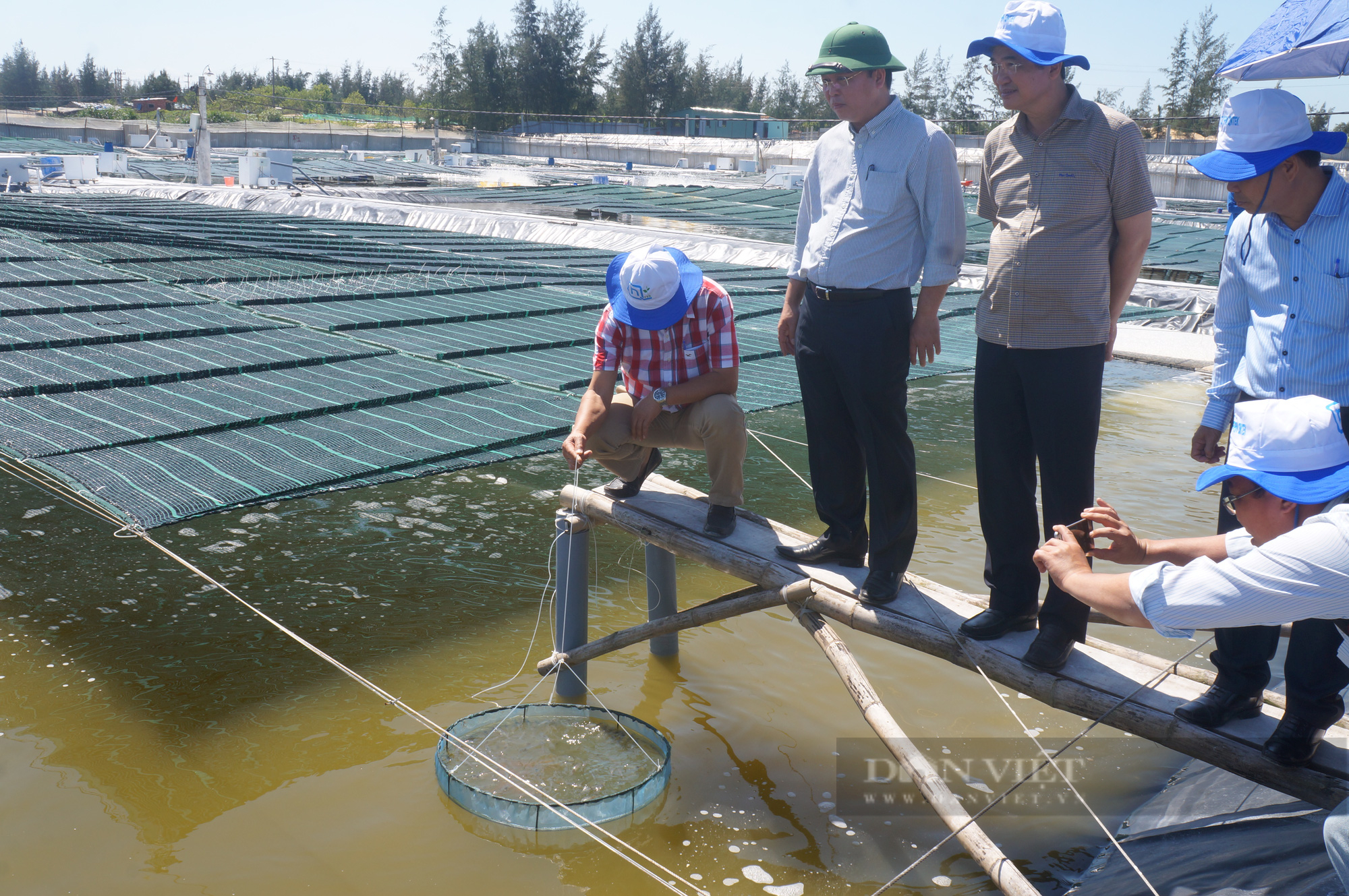 Giám đốc Sở NNPTNT Quảng Nam: Rải thảm đỏ kêu gọi các Tập đoàn đầu tư vào nền nông nghiệp hiện đại   - Ảnh 8.