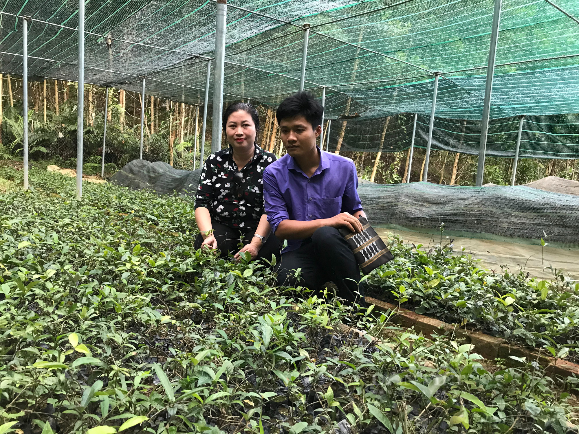Giám đốc Sở NNPTNT Quảng Nam: Rải thảm đỏ kêu gọi các Tập đoàn đầu tư vào nền nông nghiệp hiện đại   - Ảnh 12.