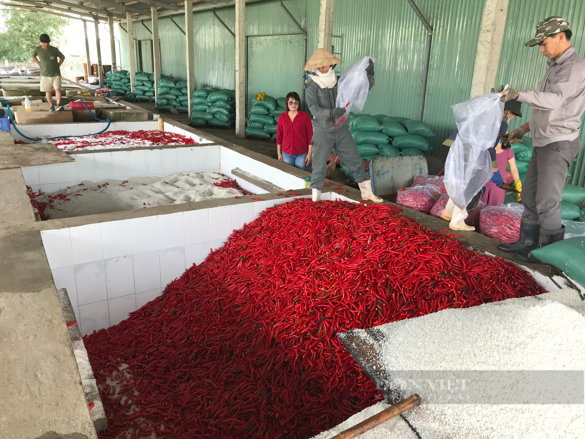 Giám đốc Sở NNPTNT Quảng Nam: Rải thảm đỏ kêu gọi các Tập đoàn đầu tư vào nền nông nghiệp hiện đại   - Ảnh 10.
