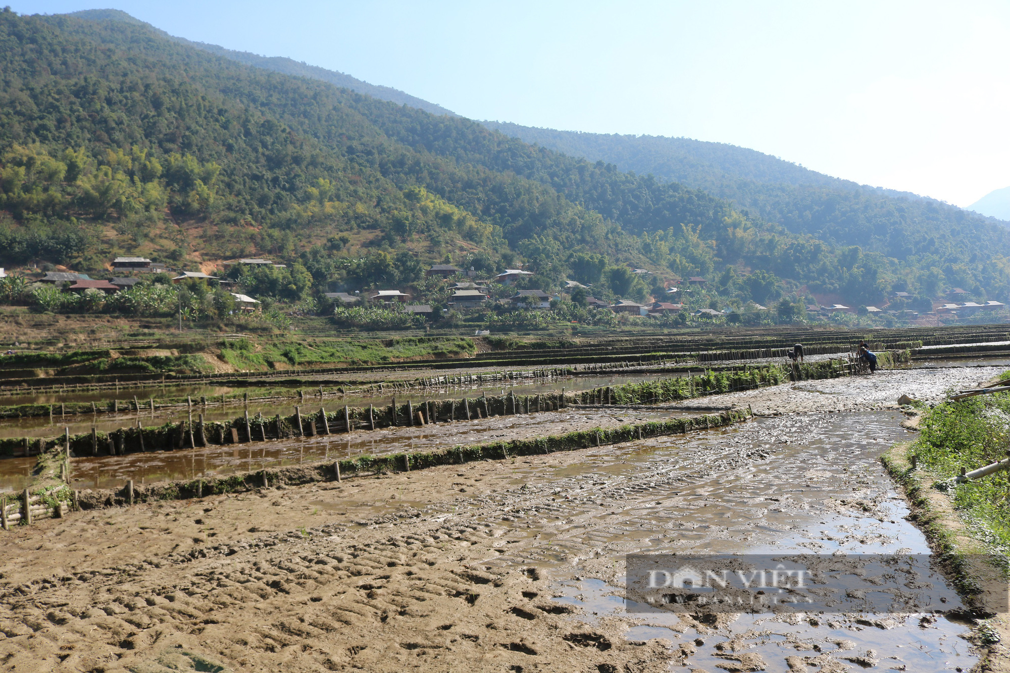Chiếc cọn nước trị giá gần 4 triệu đồng hứa hẹn về một mùa vàng bội thu cho nông dân vùng cao Sơn La - Ảnh 6.