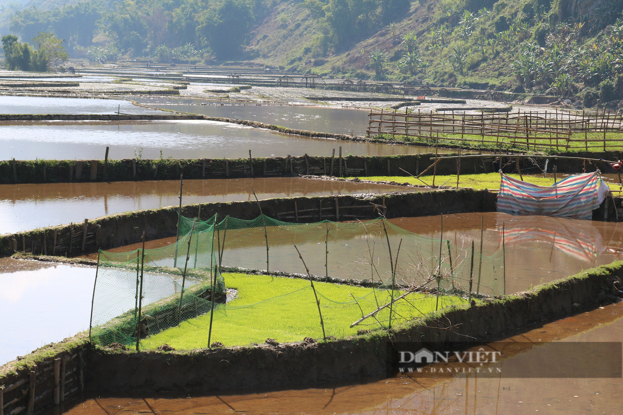 Chiếc cọn nước trị giá gần 4 triệu đồng hứa hẹn về một mùa vàng bội thu cho nông dân vùng cao Sơn La - Ảnh 8.