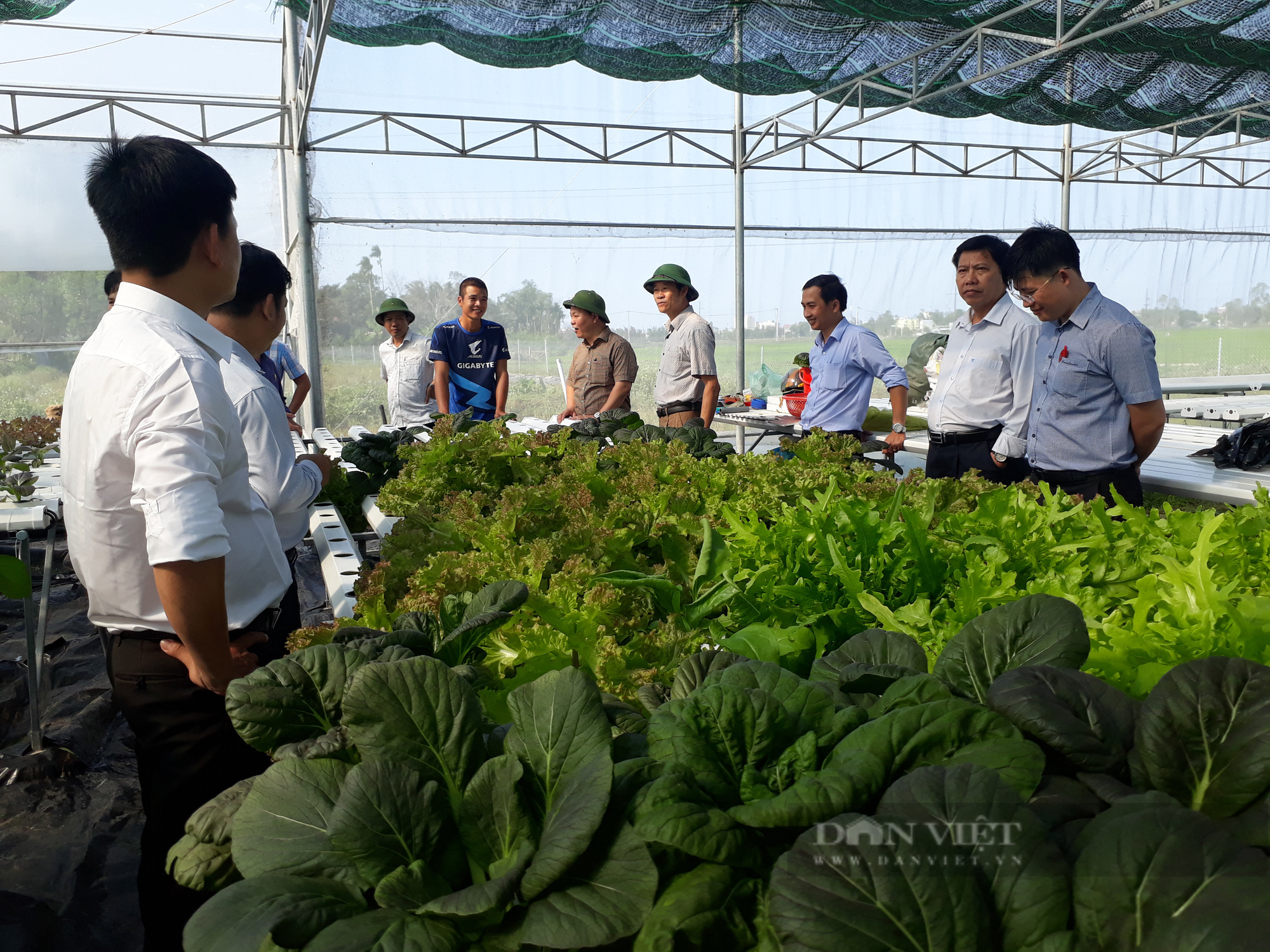 Giám đốc Sở NNPTNT Quảng Nam: Rải thảm đỏ kêu gọi các Tập đoàn đầu tư vào nền nông nghiệp hiện đại   - Ảnh 7.