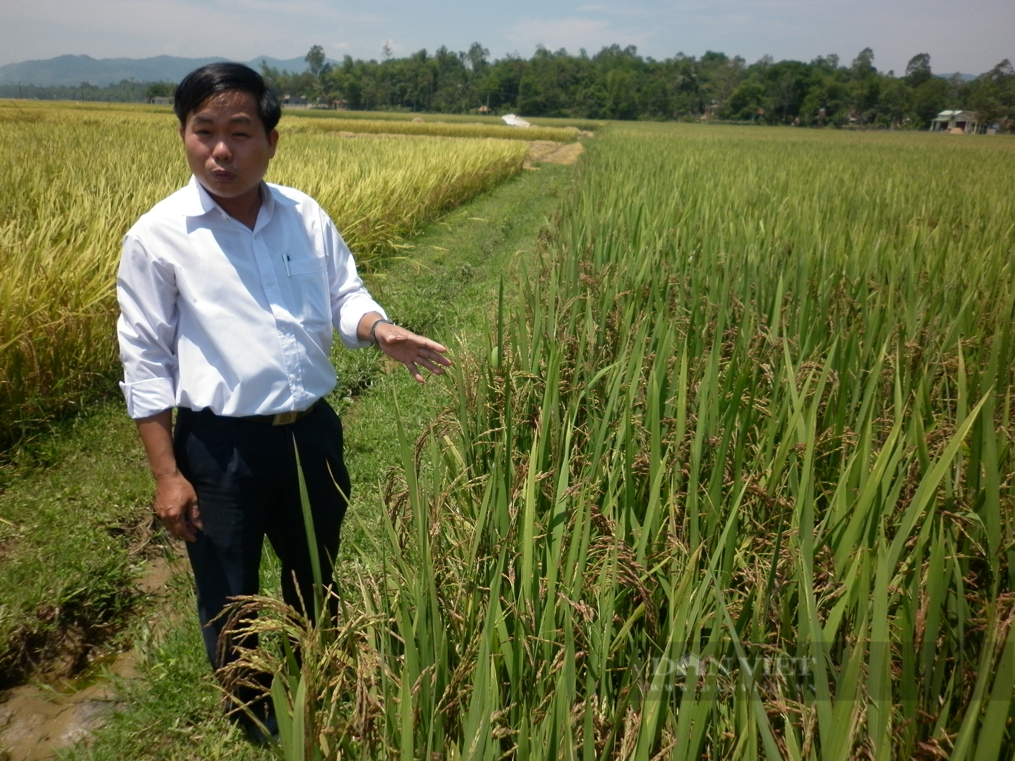 Giám đốc Sở NNPTNT Quảng Nam: Rải thảm đỏ kêu gọi các Tập đoàn đầu tư vào nền nông nghiệp hiện đại   - Ảnh 4.