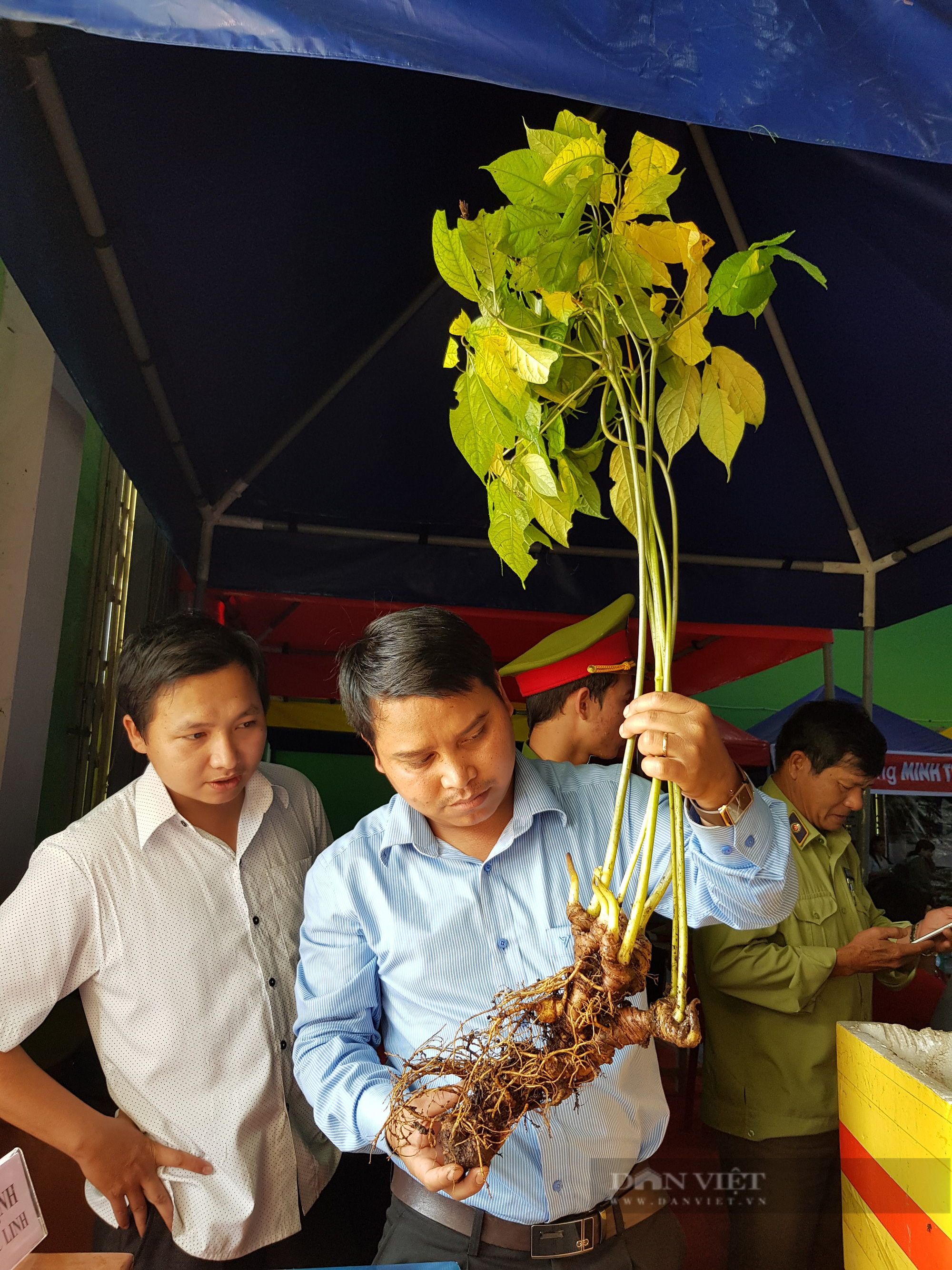 Phó Chủ tịch Quảng Nam: Cây “Quốc bảo” không những giúp dân thoát nghèo mà còn bảo vệ rừng - Ảnh 11.