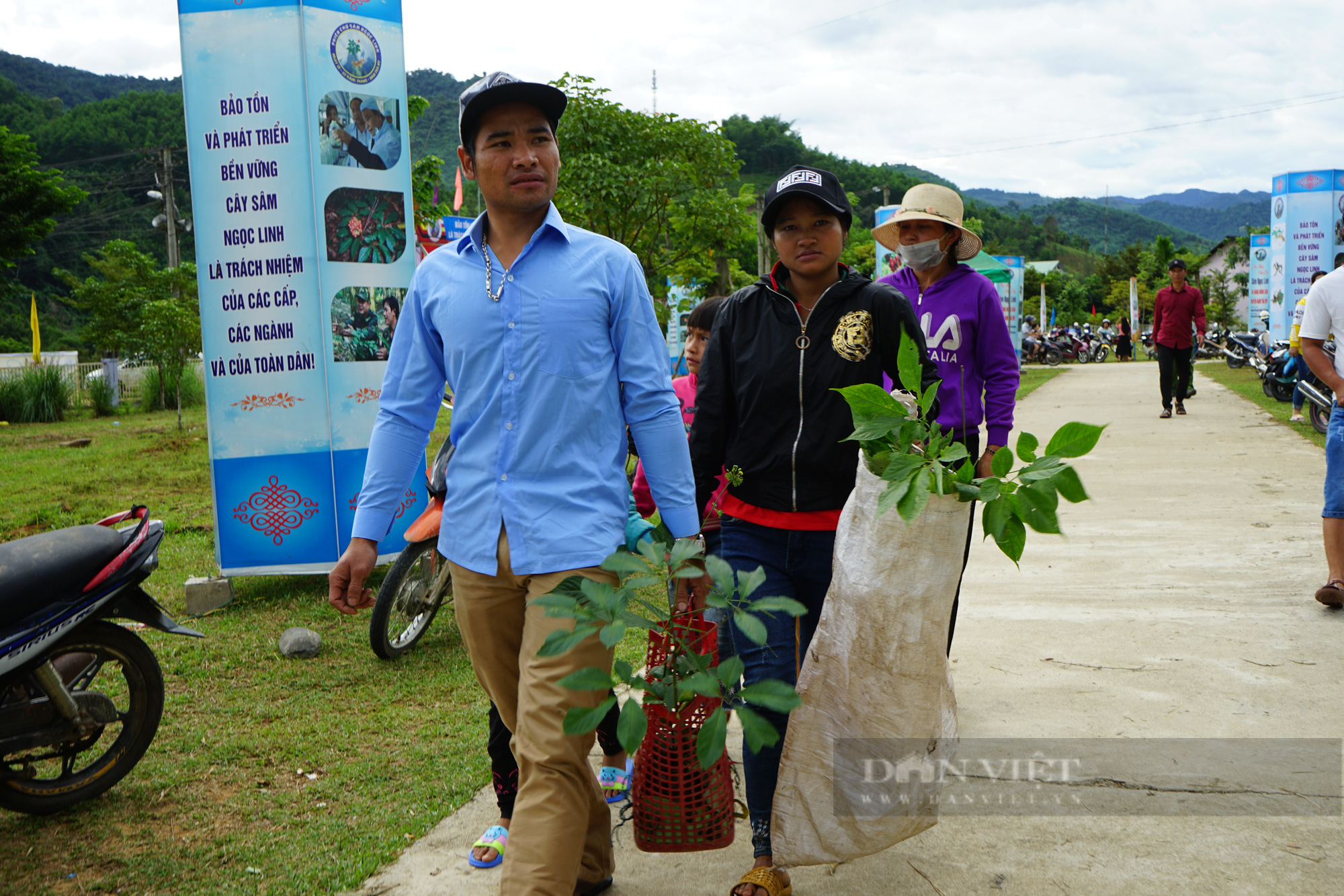 Phó Chủ tịch Quảng Nam: Cây “Quốc bảo” không những giúp dân thoát nghèo mà còn bảo vệ rừng - Ảnh 8.