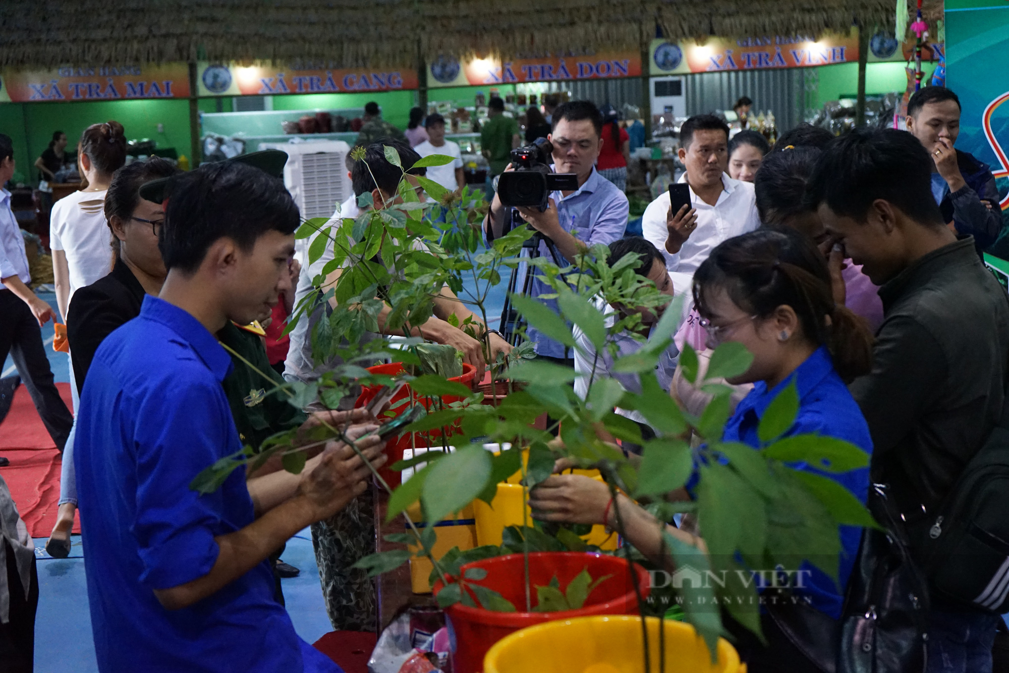 Phó Chủ tịch Quảng Nam: Cây “Quốc bảo” không những giúp dân thoát nghèo mà còn bảo vệ rừng - Ảnh 9.