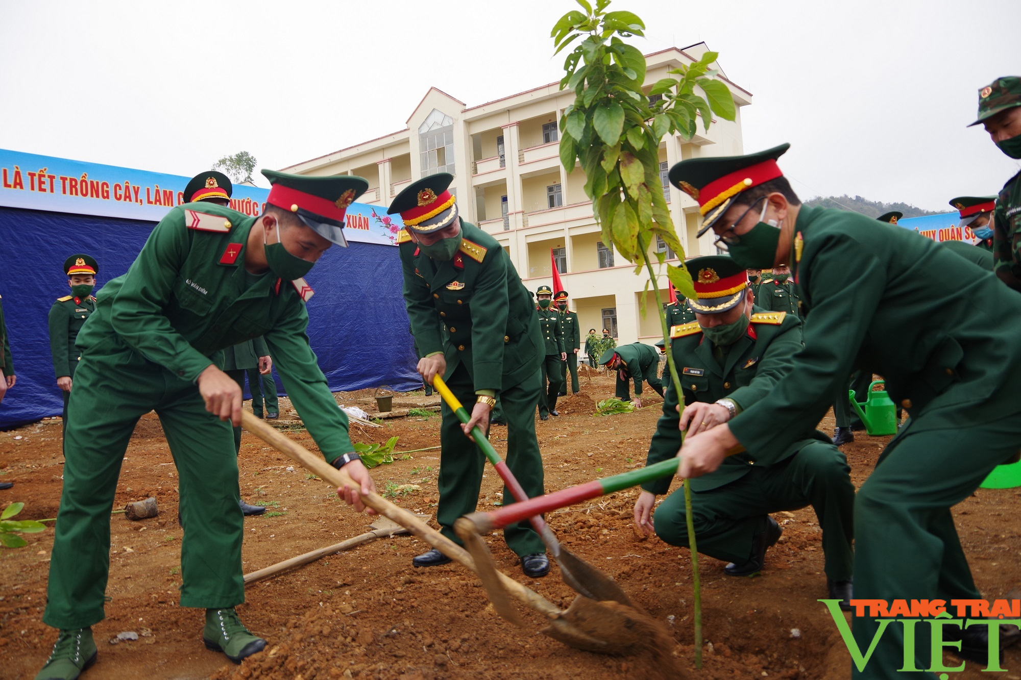 Bộ CHQS tỉnh Sơn La: Phát động Tết trồng cây - Ảnh 2.