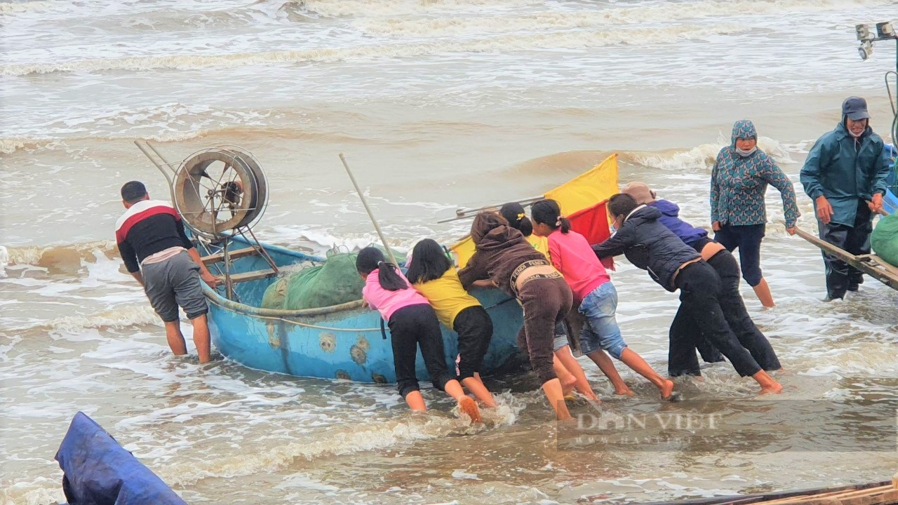 Ngư dân Nghệ An &quot;xông biển&quot; đầu năm, thu tiền triệu mỗi ngày - Ảnh 2.