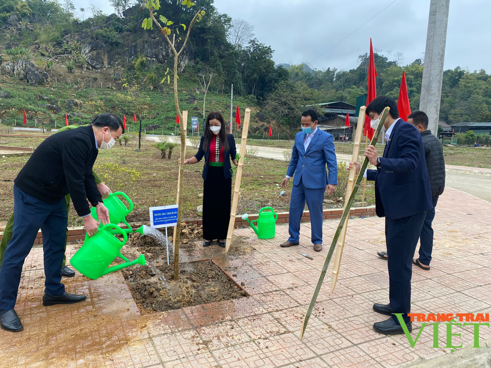 Nông thôn Tây Bắc: Thuận Châu phấn đấu trồng 50.000 cây phân tán - Ảnh 3.