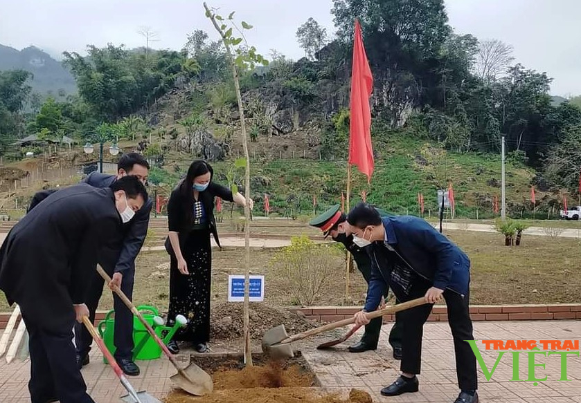 Nông thôn Tây Bắc: Thuận Châu phấn đấu trồng 50.000 cây phân tán - Ảnh 1.
