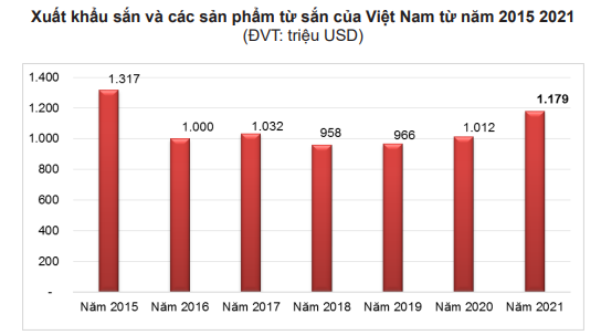 Không phải Trung Quốc, sắn Việt Nam xuất sang thị trường này 'không có đối thủ' - Ảnh 3.