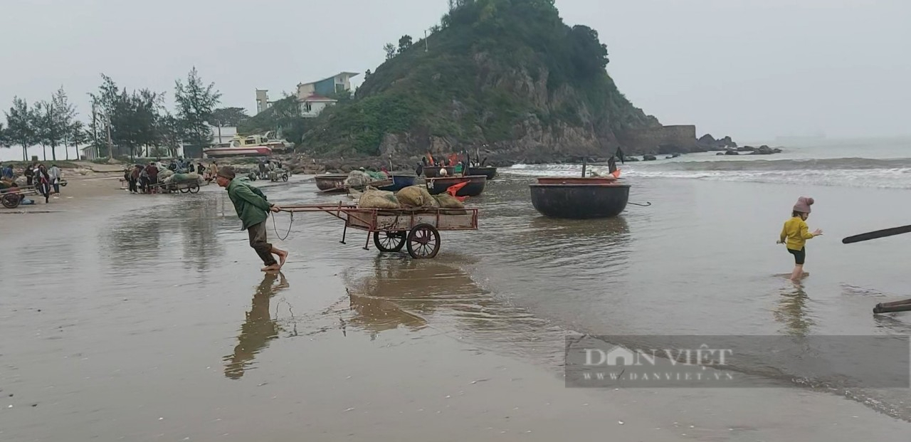 Mua cá &quot;vặt&quot; về thưởng thực ở bãi biển Cửa Lò  - Ảnh 11.